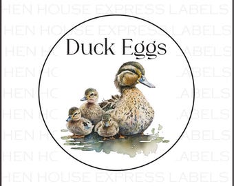 40 Duck Eggs Carton Labels Stickers