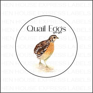 40 Quail Eggs Carton Labels Stickers