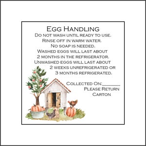 May include: A watercolor illustration of a white chicken coop with a red door. There are two pumpkins, a chicken, and a green bush with red berries. The text reads: 