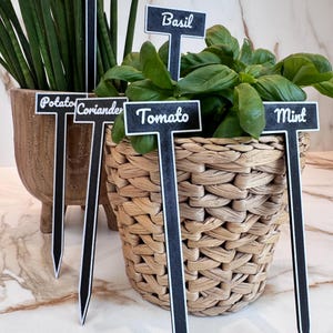 Puede incluir: Marcadores de jardín en blanco y negro con etiquetas de texto que dicen "Ajo", "Albahaca", "Patata", "Cilantro", "Tomate" y "Menta". Los marcadores están colocados en una cesta de mimbre y una maceta decorativa.