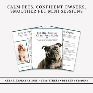 Pet Photography Client Guide Template, Dog Mini Session Prep for Photographers | Canva Editable