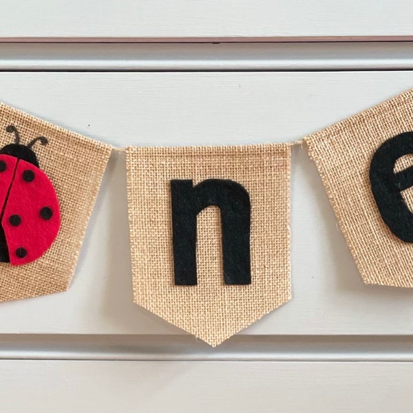 Lady bug Birthday ~Ladybug ONE banner ~highchair banner ~Ladybug banner ~1st Birthday party ~lady bug photo prop back drop ~cake smash