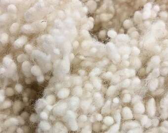 Undyed Wool Nepps - neps - Fiber