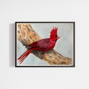 Red Cardinal Watercolor Painting: Original Bird Art, 9&quot;x12&quot; Home Decor