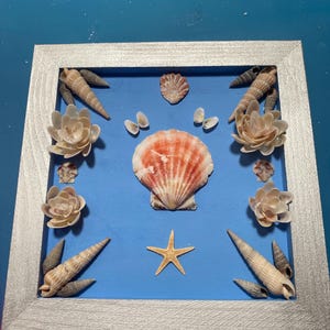 Hanging Seashell wall decor