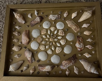 May include: A rectangular gold-toned frame containing a collection of various seashells arranged in a spiral pattern on a gold background. The display features a mix of white, tan, and brown shells of different shapes and sizes, with a ribbon attached.