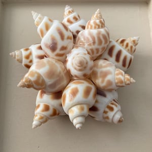 Hanging Seashell Flower Bouquet