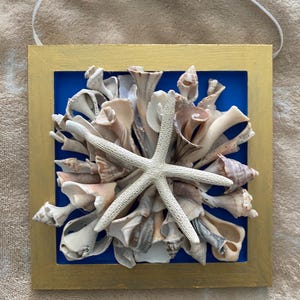 Seashell Flower 6x6