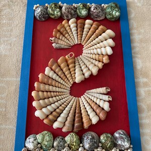 Seashell wall decor
