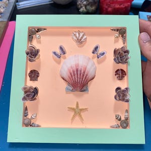 Hanging Seashell wall decor