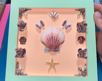 Hanging Seashell wall decor