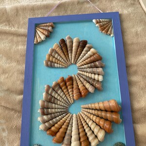Seashell wall decor