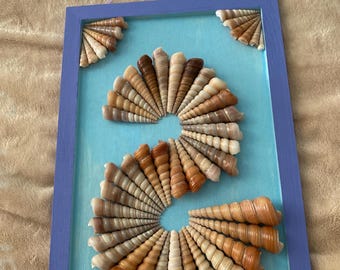 Seashell wall decor