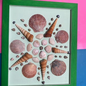 Seashell wall decor