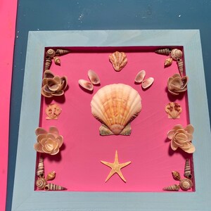 Seashell wall decor