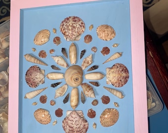 May include: A framed seashell art piece with a light blue background and a pink frame. The seashells are arranged in a circular pattern, with a large seashell in the center.
