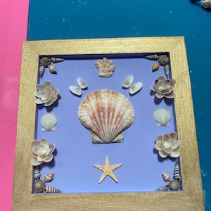 Hanging Seashell wall decor