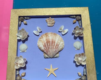 Hanging Seashell wall decor