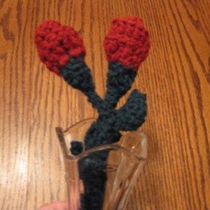 A dozen Long stem crocheted Rose buds