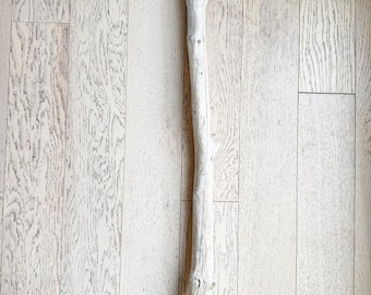Unique Curved Driftwood | Large Sculptural Piece for Home & Wall Art