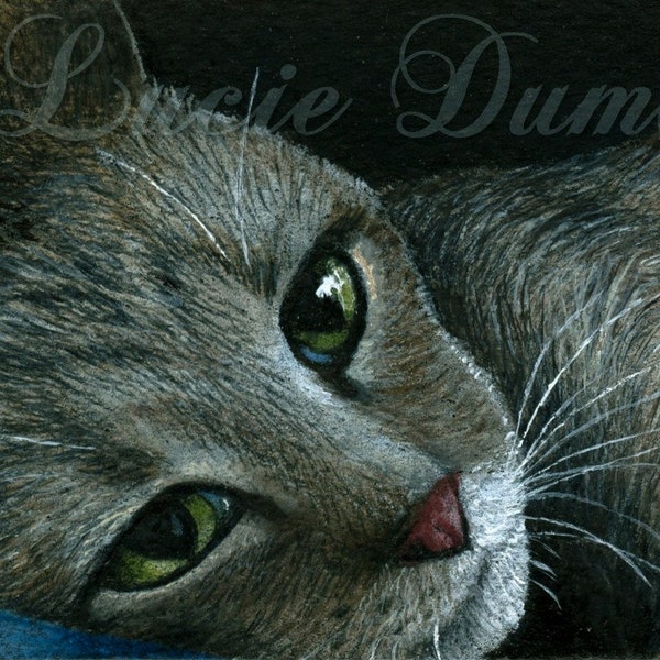 Laminated Fridge Magnet, Print, ACEO, Cat 420 gray cat from art painting by L.Dumas