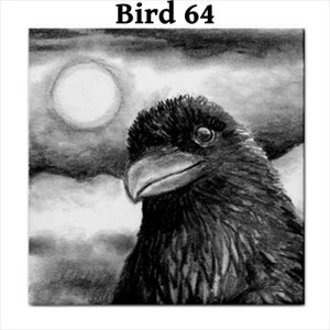 May include: A black and white drawing of a crow's head and neck against a cloudy sky with a bright moon in the background.