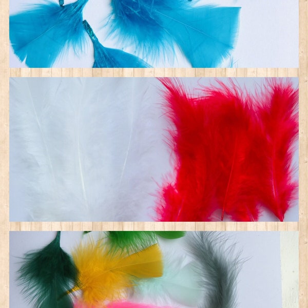 Sets of 50 Feathers and Feather Bits Your Choice Blue Red White Multi-Color