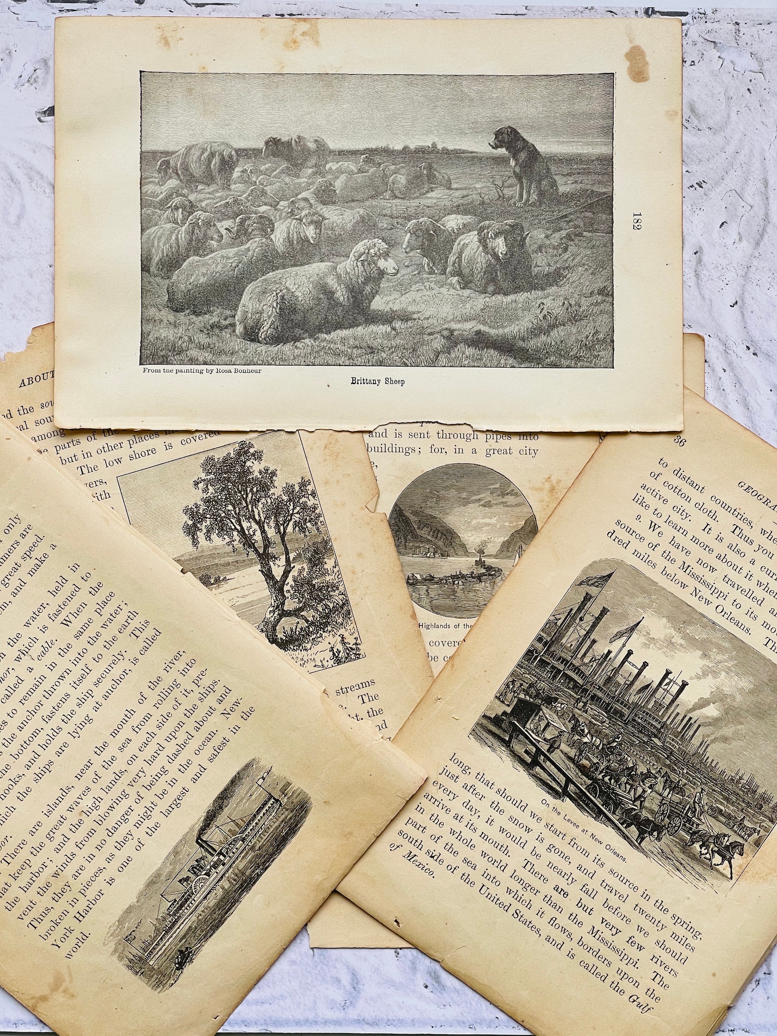 Early 1900 s essay picture