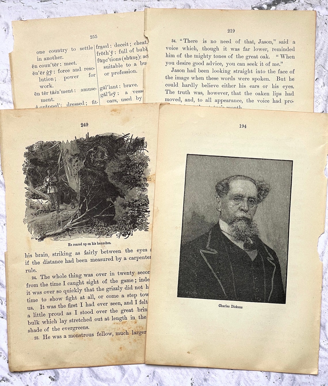 Life in the 20th century picture