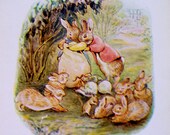 Beatrix Potter Original Antique Illustration From Salvaged Flopsy Bunnies Book Circa Early 1900s
