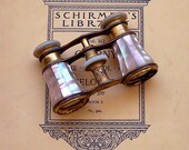 Antique Opera Glasses Lemaire FI Paris Mother of Pearl Binoculars