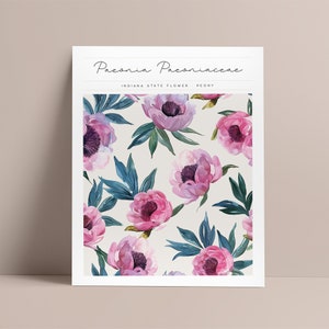 Arte floral del estado de Indiana