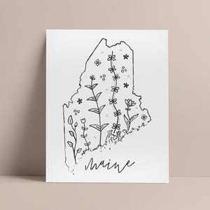 Botanische Rabatte: Maine