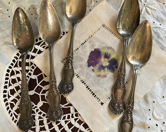 Rodger’s Orange Blossum Grapfruit Spoons / Patina Rustc Farmhouse
