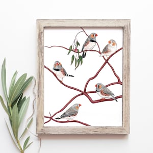 Zebra Finch Print, Australian Bird, Cute Bird Art, Eucalyptus