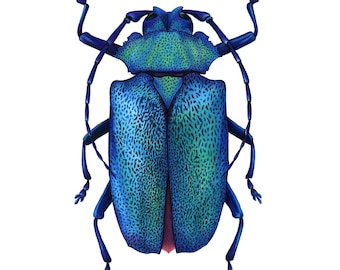 Puede incluir: Ilustración detallada de un escarabajo azul vibrante con detalles verdes. El cuerpo del escarabajo presenta patrones texturizados, y sus patas y antenas son de un tono azul más oscuro. La obra de arte está sobre un fondo blanco.