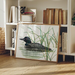 Pode incluir: Uma impress&atilde;o de arte emoldurada com uma ilustra&ccedil;&atilde;o detalhada de um mergulh&atilde;o nadando na &aacute;gua entre juncos verdes. O mergulh&atilde;o tem plumagem preta, branca e cinza com um olho vermelho. A obra de arte &eacute; exibida em um piso de madeira.