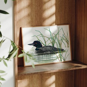 Pode incluir: Uma impress&atilde;o emoldurada com uma ilustra&ccedil;&atilde;o detalhada de um mergulh&atilde;o-de-garganta-vermelha nadando na &aacute;gua, cercado por juncos verdes. A ave tem plumagem salpicada em preto e branco, cabe&ccedil;a preta e olho vermelho. A obra de arte &eacute; exibida em uma prateleira de madeira.