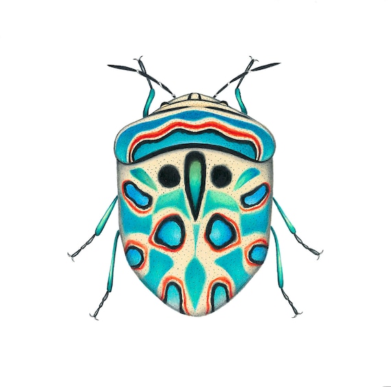 Bug Print, Insect Illustration, Colorful Insect, Entomology Art, Picasso  Bug - Etsy Norway