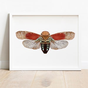 Planthopper Print, Insect Art, Colorful Bug Print, Entomology