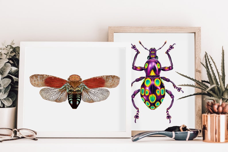 Planthopper Print, Insect Art, Colorful Bug Print, Entomology image 3