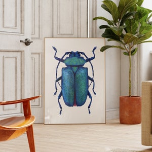 Beetle Print, Entomology Art, Tropical Wall Decor, Insect Illustration image 1