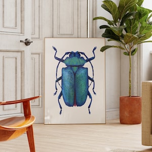 Beetle Print, Entomology Art, Tropical Wall Decor, Insect Illustration