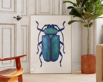 Beetle Print, Entomology Art, Tropical Wall Decor, Insect Illustration