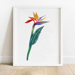 Bird of Paradise Art, Botanical Print, Tropical Home Decor, Botanical Illustration