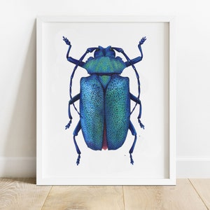 Beetle Print, Entomology Art, Tropical Wall Decor, Insect Illustration image 2