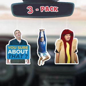Tim Robinson über eine Zipline Meme Auto Lufterfrischer, Ich denke, du solltest gehen, Weihnachtsgeschenk, handgemachte Auto-Freshies, da bist du dir sicher