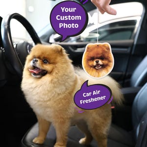 Custom Car Air Freshener | Photo Car Freshies | Photo Car Air Freshener |  Personalized Air Freshener | Christmas Gifts | Stocking Stuffers