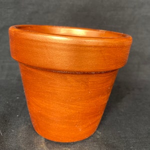May include: A small, terracotta-colored flower pot with a slightly flared rim. The pot has a textured surface and a simple, classic design. The pot is empty and ready for planting.