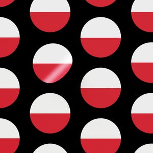 Adesivi con la bandiera polacca – Adesivi patriottici della Polonia per polacchi e conservatori orgogliosi